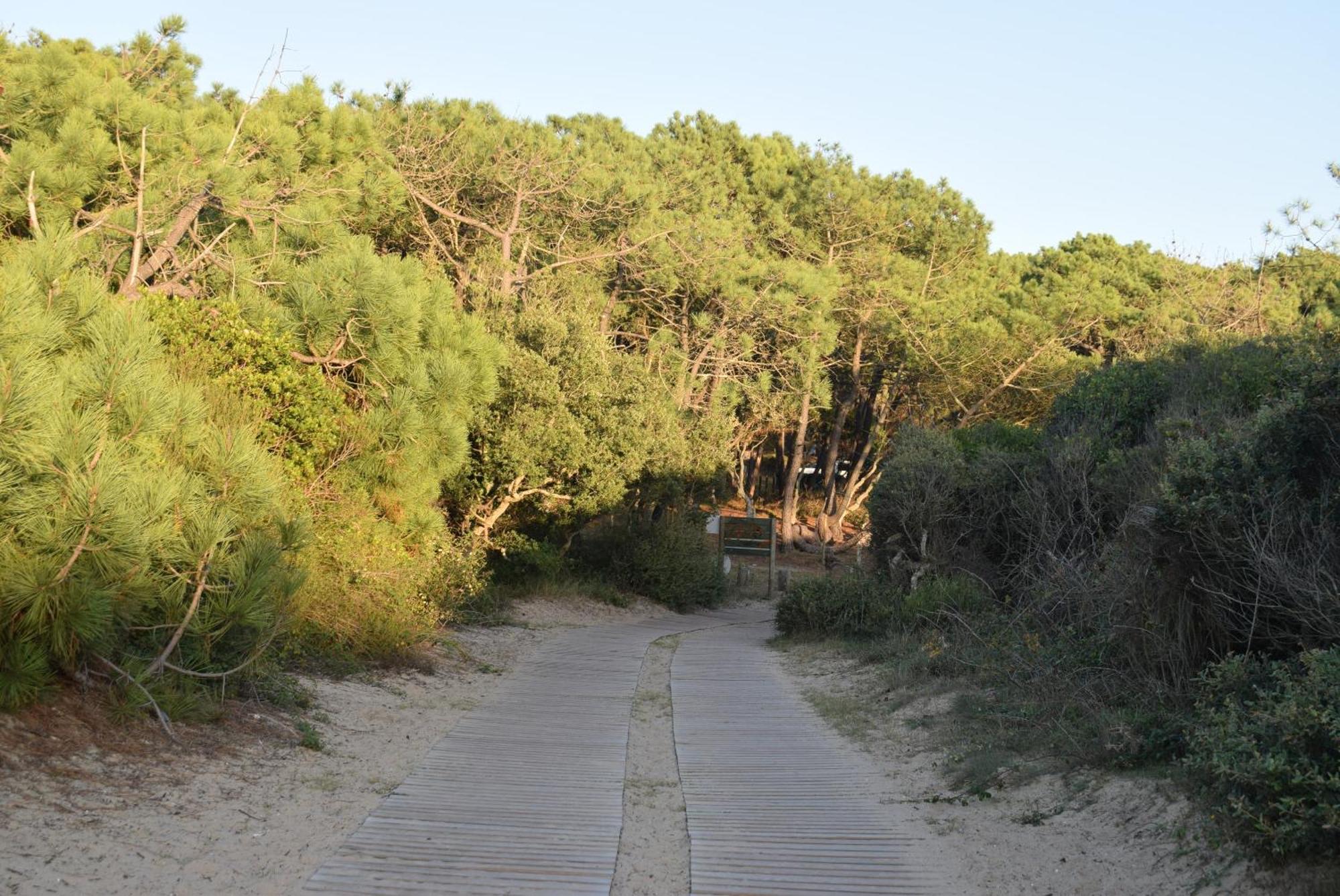 Evasion Cotiere Tranquillite Entre Foret Et Ocean Вьёй-Сен-Жирон Экстерьер фото